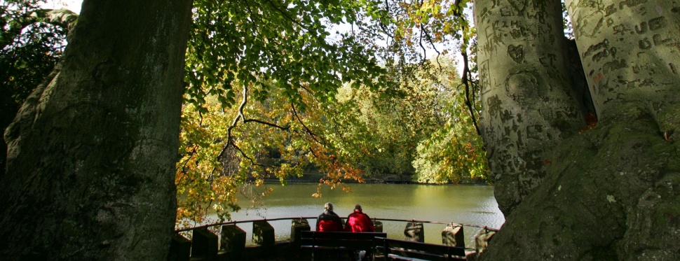 Botanischer Garten Rombergpark Nrwhits