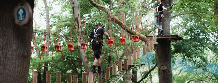 Person klettert im Kletterwald Bonn